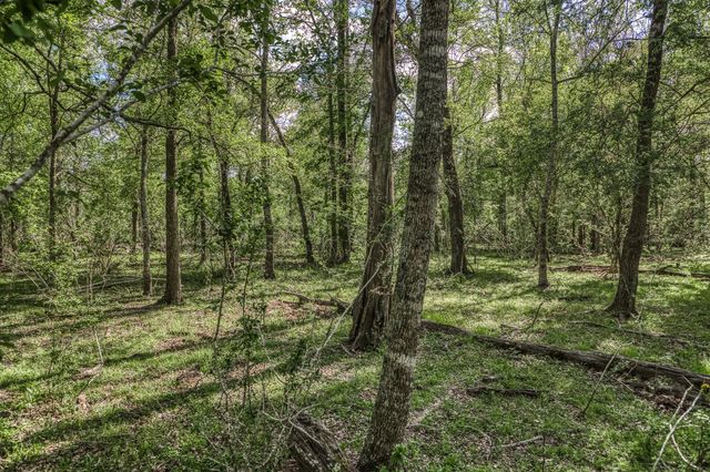 3437 Brown College Lane, Washington, TX 77880