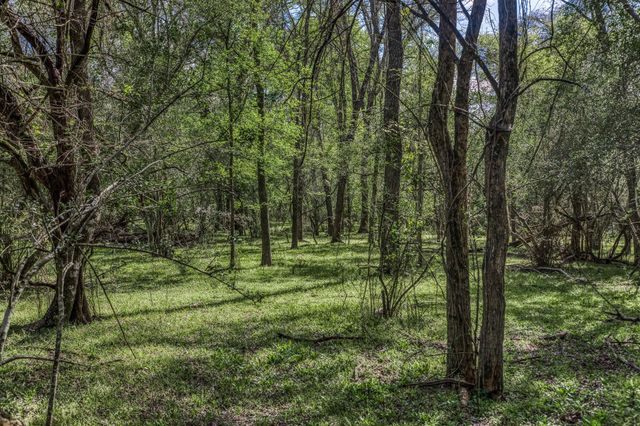 3437 Brown College Lane, Washington, TX 77880