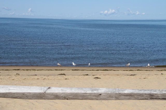 495 Aspinet Road, Eastham, MA 02642