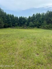 134a Harry Sones Rd, Poplarville, MS 39470