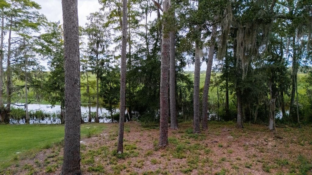 Cabaniss Ln., Pawleys Island, SC 29585 — exterior