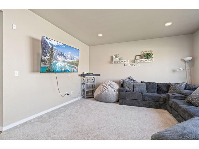 3904 Sweetgum St, Wellington, CO 80549