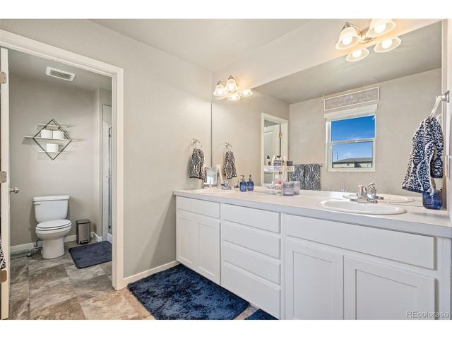 3904 Sweetgum St, Wellington, CO 80549