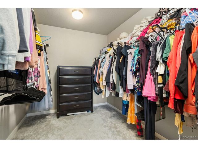 3904 Sweetgum St, Wellington, CO 80549