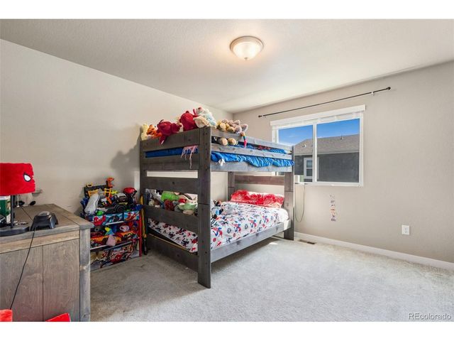 3904 Sweetgum St, Wellington, CO 80549