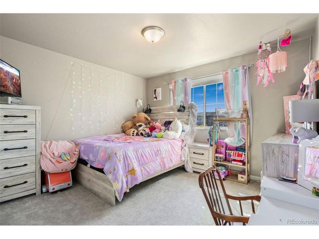 3904 Sweetgum St, Wellington, CO 80549