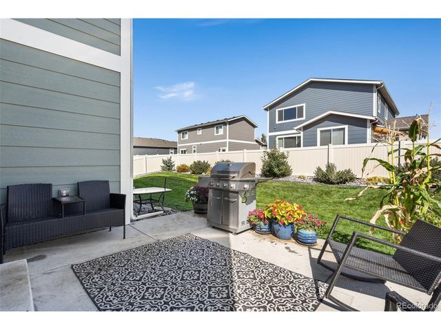 3904 Sweetgum St, Wellington, CO 80549