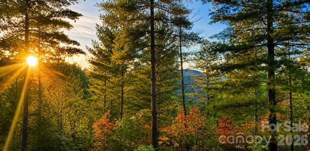 120 Johns Ridge Parkway 120, Lenoir, NC 28645