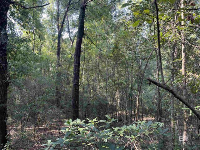 6701 Cottage Hill Road, Mobile, AL 36695