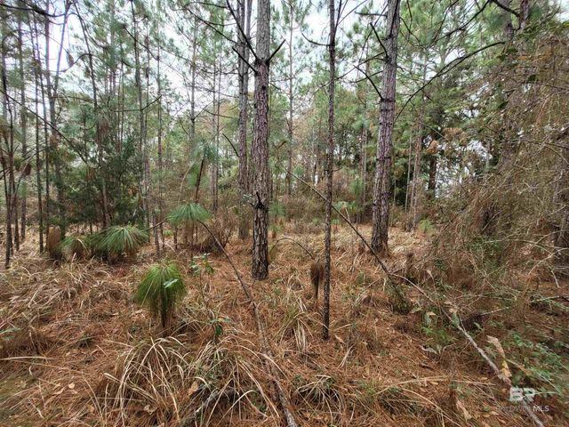 6701 Cottage Hill Road, Mobile, AL 36695