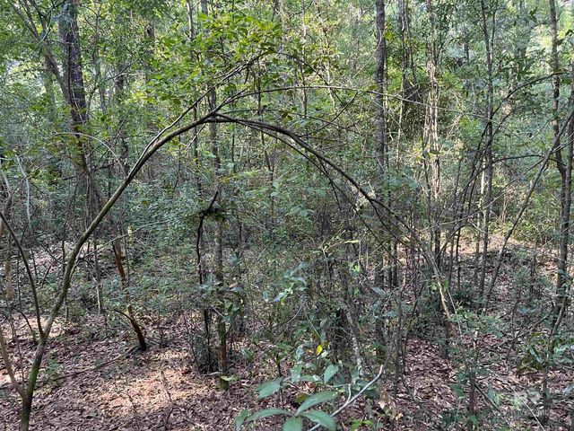 6701 Cottage Hill Road, Mobile, AL 36695