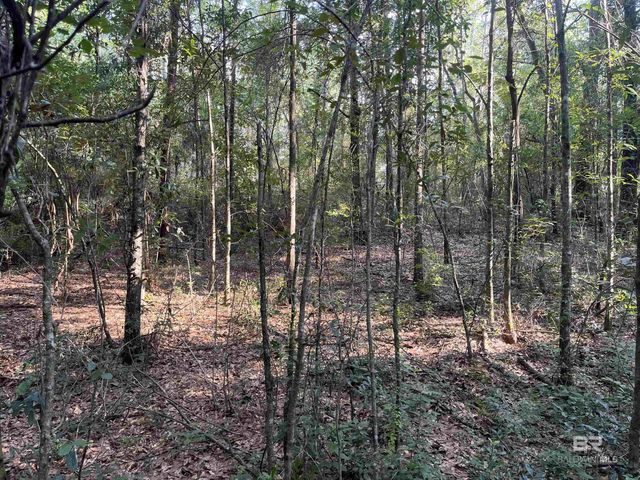 6701 Cottage Hill Road, Mobile, AL 36695