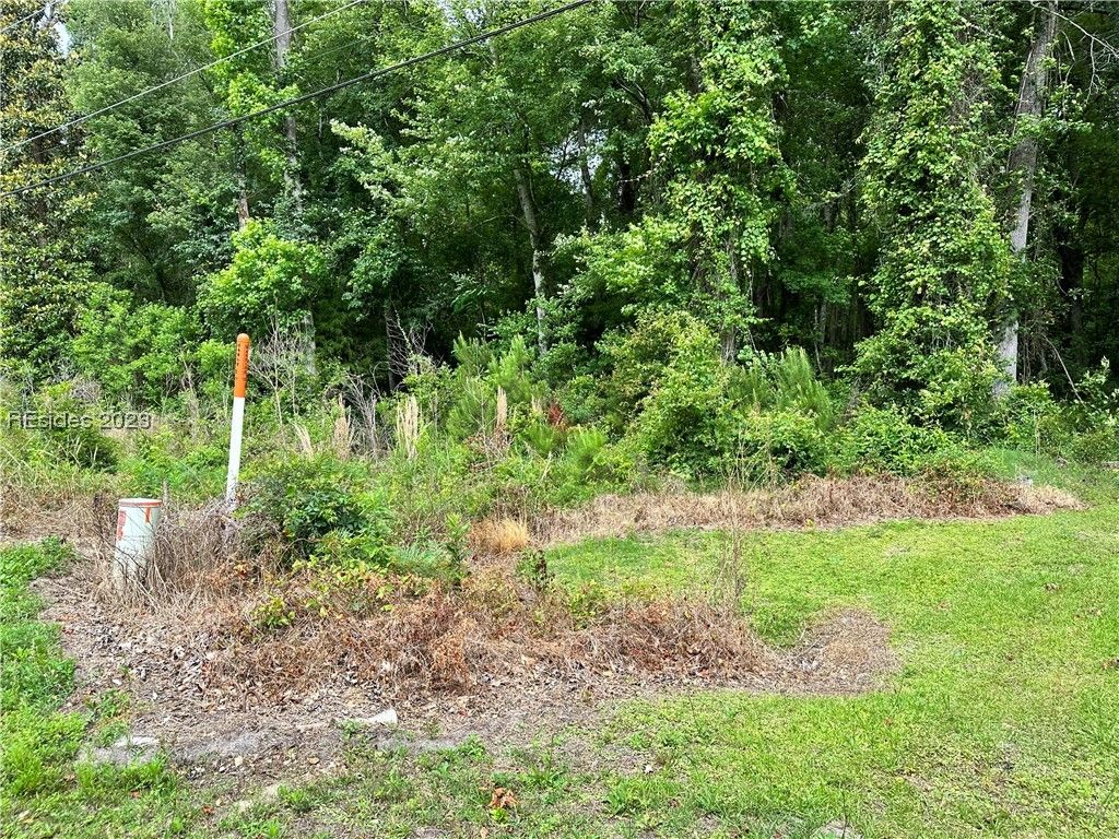 Image 1 of property listing at Lot 3 Goethe Hill Road, Burton, SC 29906