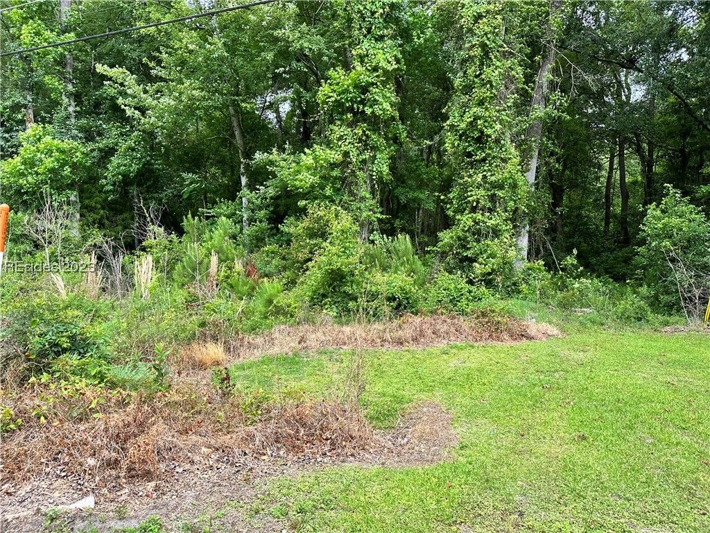 Image 3 of property listing at Lot 3 Goethe Hill Road, Burton, SC 29906