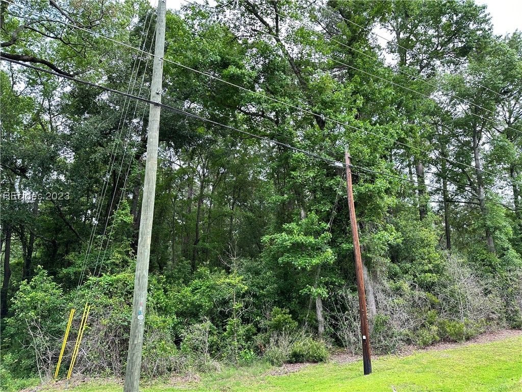Image 4 of property listing at Lot 3 Goethe Hill Road, Burton, SC 29906