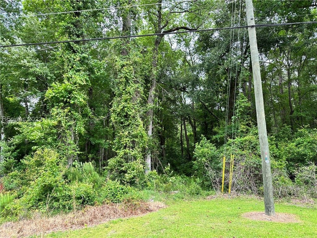 Image 5 of property listing at Lot 3 Goethe Hill Road, Burton, SC 29906