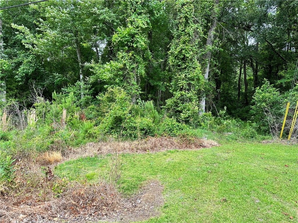 Image 6 of property listing at Lot 3 Goethe Hill Road, Burton, SC 29906