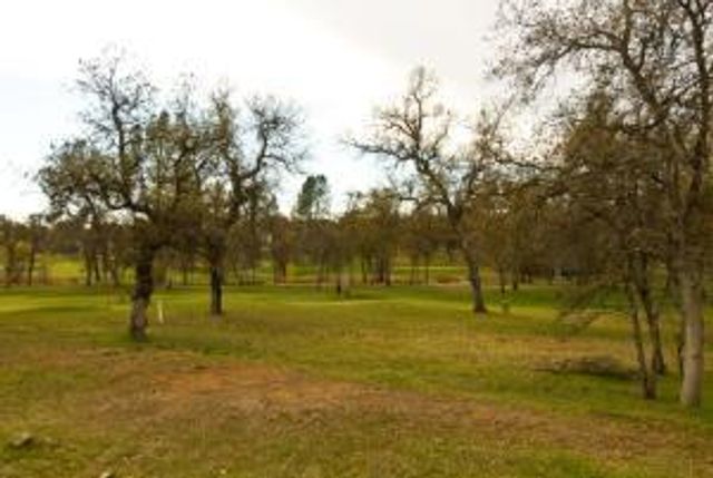 19387 Palermo Court, Redding, CA 96003