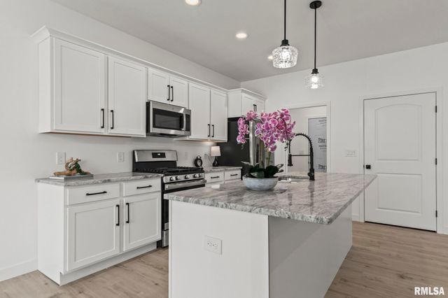 316 BOULDER CREEK Drive, Chatham, IL 62629