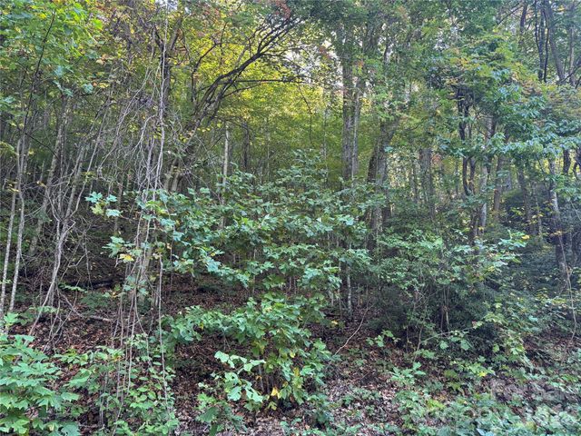 TBD Red Oak Forest Road, Fairview, NC 28730