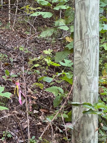 TBD Red Oak Forest Road, Fairview, NC 28730