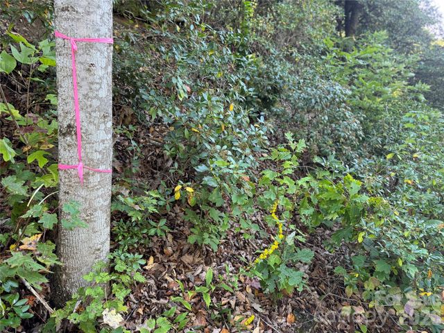 TBD Red Oak Forest Road, Fairview, NC 28730