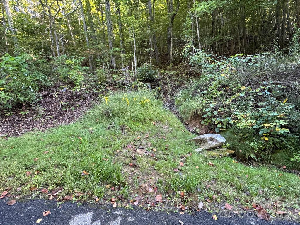 TBD Red Oak Forest Road, Fairview, NC 28730