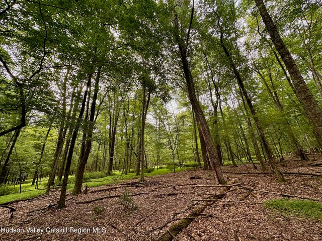 000 County Route 6, High Falls, NY 12440