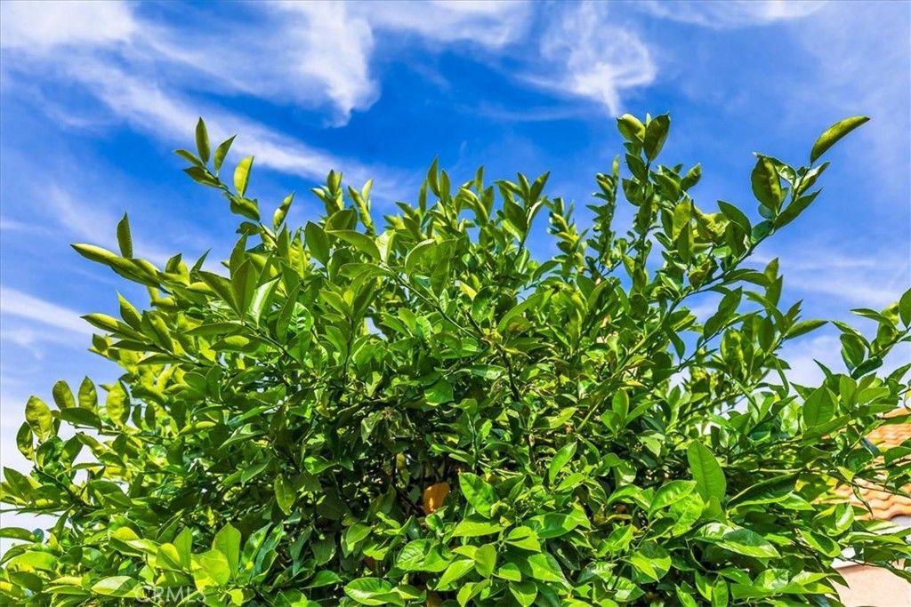 Image 28 of property listing at 43115 Corte Landeros, Temecula, CA 92592