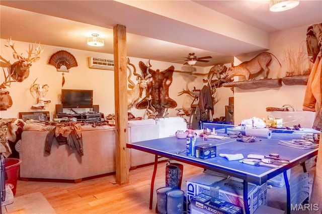 24606 Pike 248, Louisiana, MO 63353