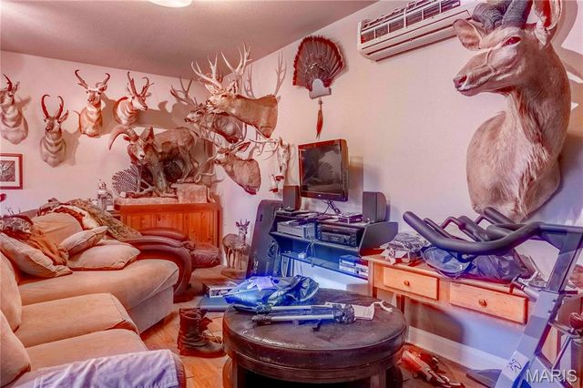 24606 Pike 248, Louisiana, MO 63353