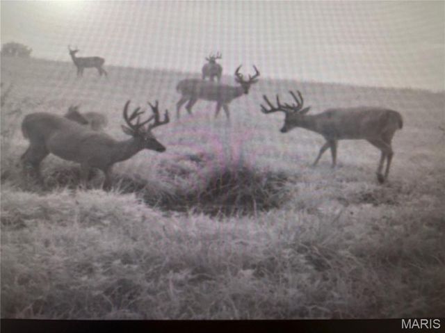 24606 Pike 248, Louisiana, MO 63353