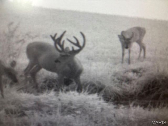 24606 Pike 248, Louisiana, MO 63353