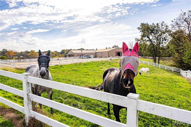 24606 Pike 248, Louisiana, MO 63353