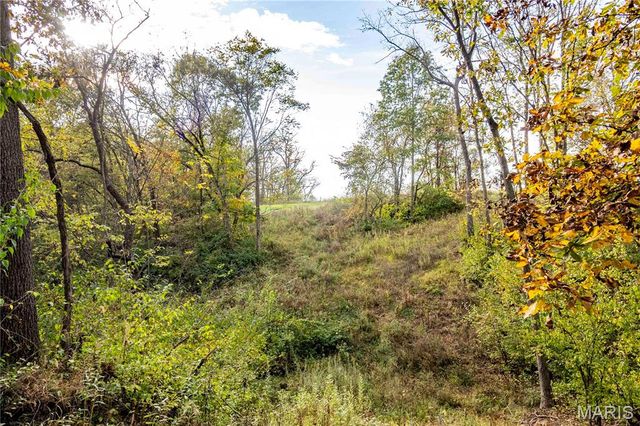 24606 Pike 248, Louisiana, MO 63353