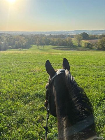 24606 Pike 248, Louisiana, MO 63353