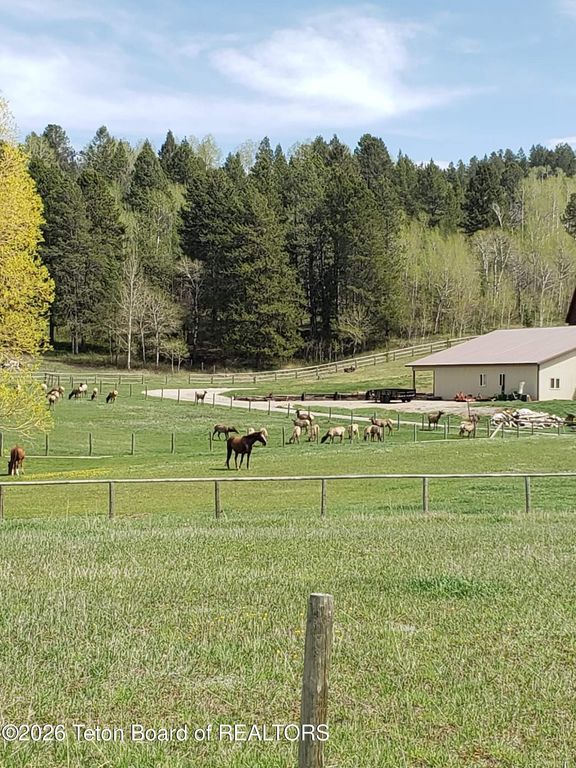 49 S DELL CREEK, Alpine, WY 83128 photo 73