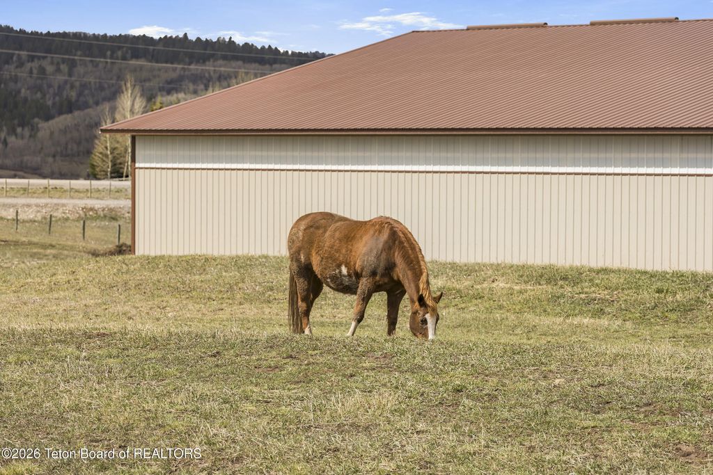 49 S DELL CREEK, Alpine, WY 83128 photo 76