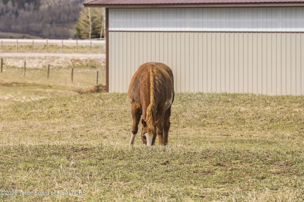 49 S DELL CREEK, Alpine, WY 83128 photo 77