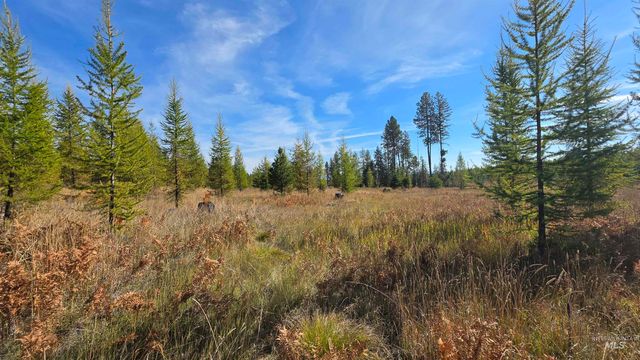 0 Timberline Heights, Parcel D, Weippe, ID 83553 property photo