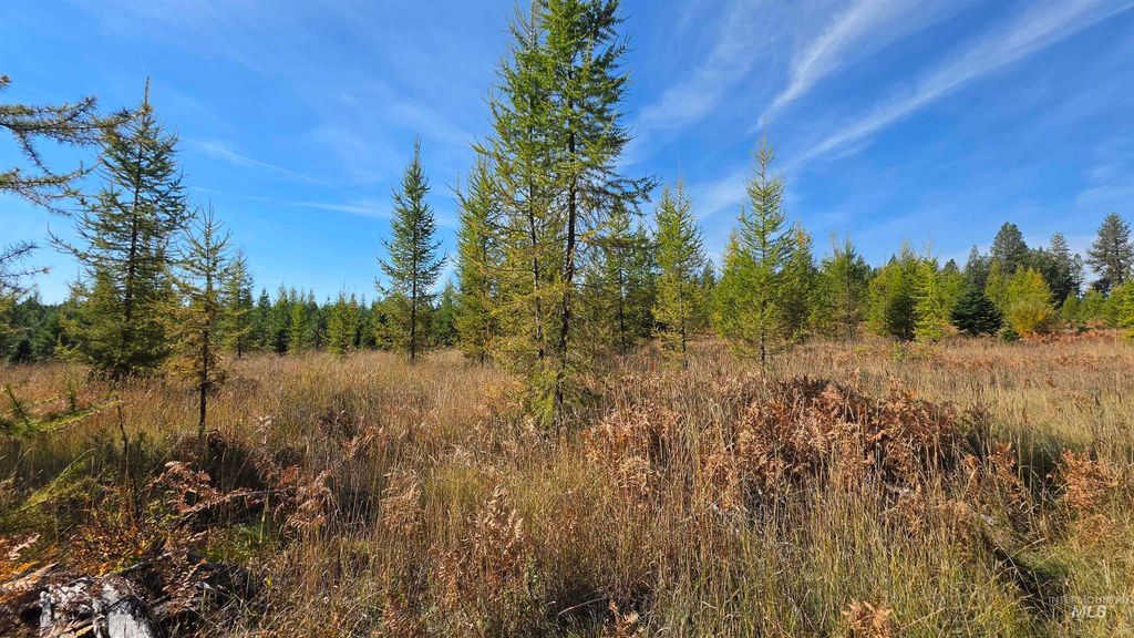 0 Timberline Heights, Parcel D, Weippe, ID 83553 photo 2