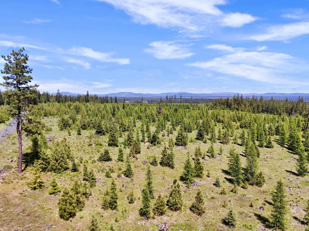 0 Timberline Heights, Parcel D, Weippe, ID 83553 photo 5