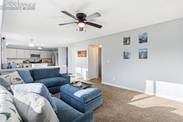 3205 Cowhand Drive, Colorado Springs, CO 80922