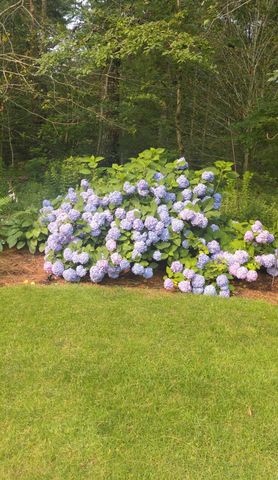 15 Tobisset Street, Mashpee, MA 02649