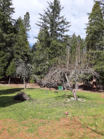 4280 Lower Wolf Creek Road, Wolf Creek, OR 97497