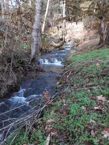 4280 Lower Wolf Creek Road, Wolf Creek, OR 97497