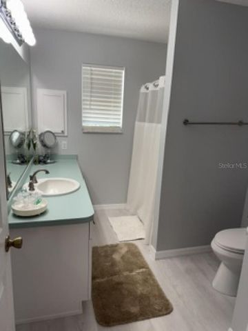 1304 GUADALUPE COURT, Lady Lake, FL 32159