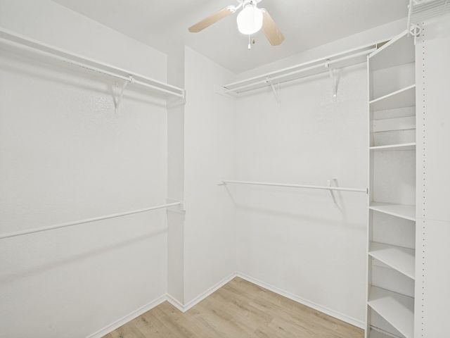 7004 Sample Drive, The Colony, TX 75056