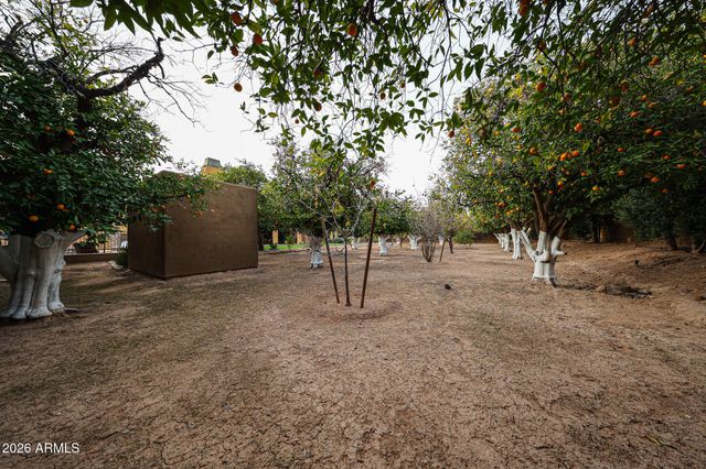 2005 N POMELO --, Mesa, AZ 85215