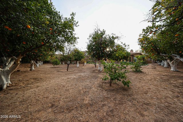 2005 N POMELO --, Mesa, AZ 85215